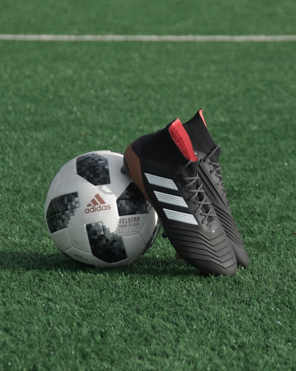 体育集锦